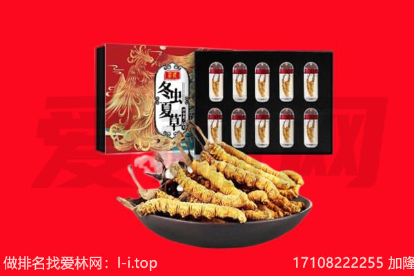 丹寨县回收虫草.jpg